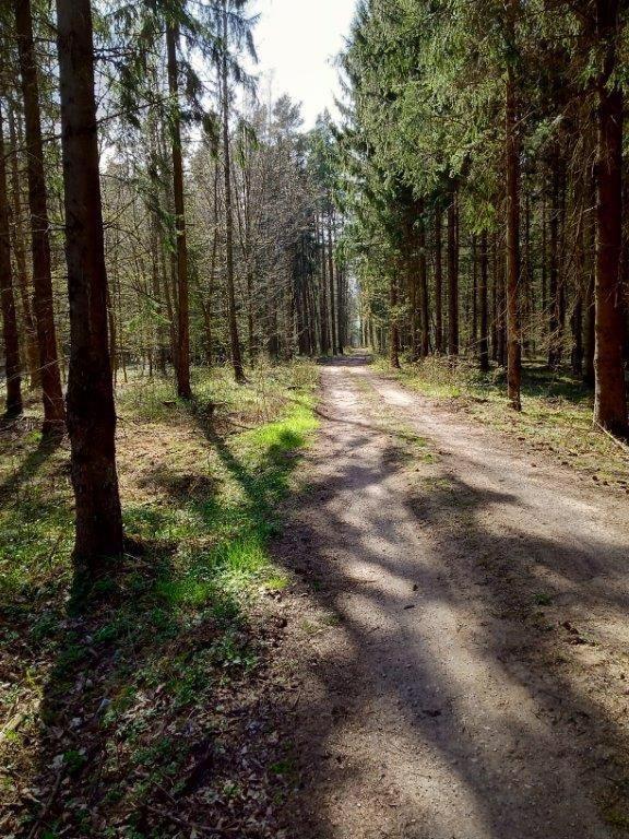Domek Z Bala Mazury Orzyny Exterior foto